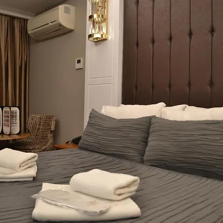 Gumus Palace Gungoren Estambul