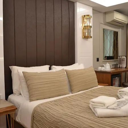 Hotel Gumus Palace Gungoren 3*