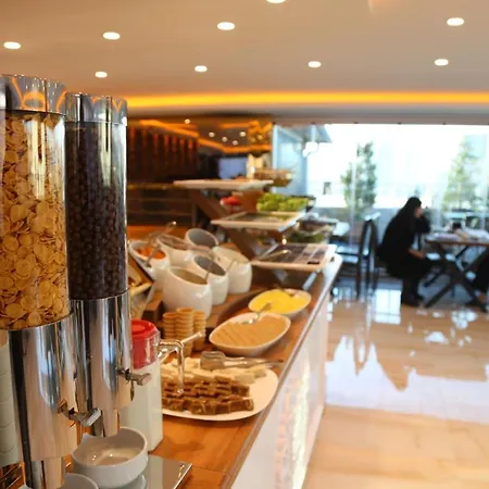 Gumus Palace Gungoren Hotel